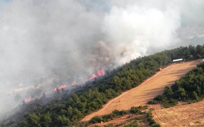 Fethiye'de 20 hektar orman kül oldu